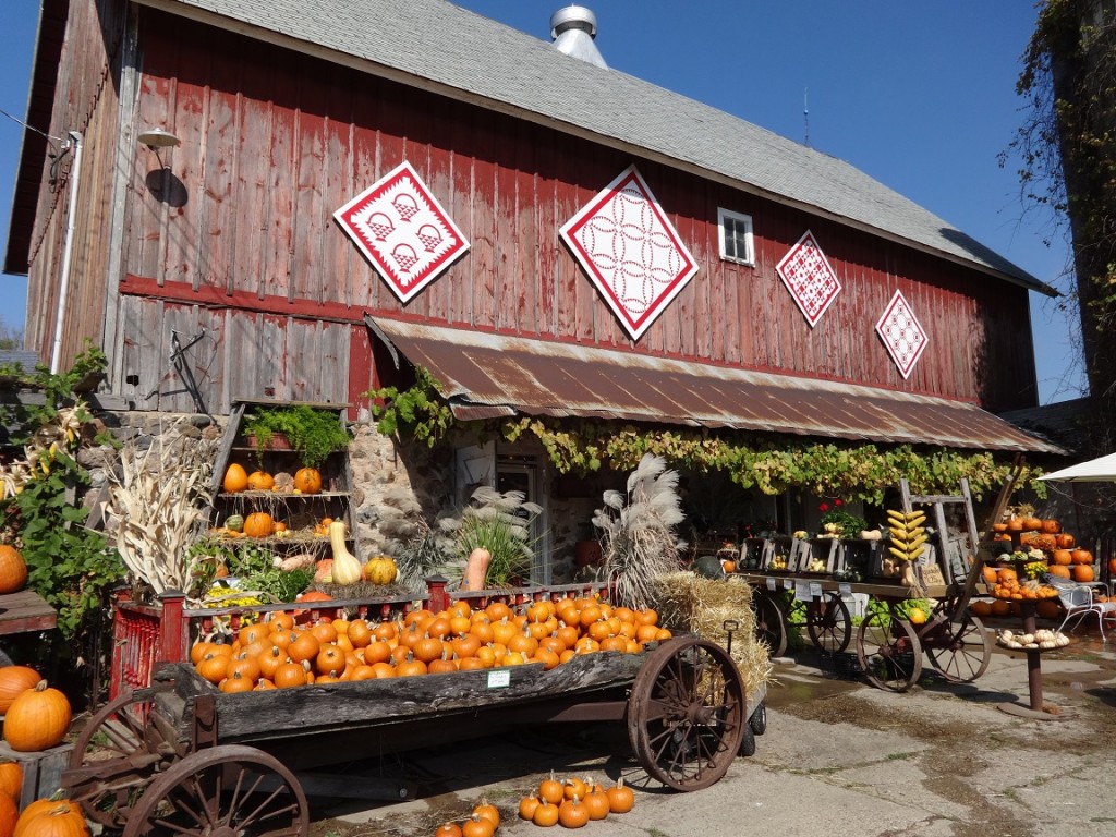 Barn Quilts Fall