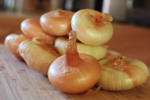 cipollini onion