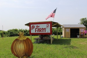 At the Farm 2 Carver MN