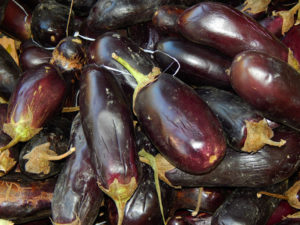 Eggplant At The Farm